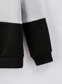 SHEIN Toddler Boys Colourblock Dinosaur Print Hoodie - Multicolor - View 3