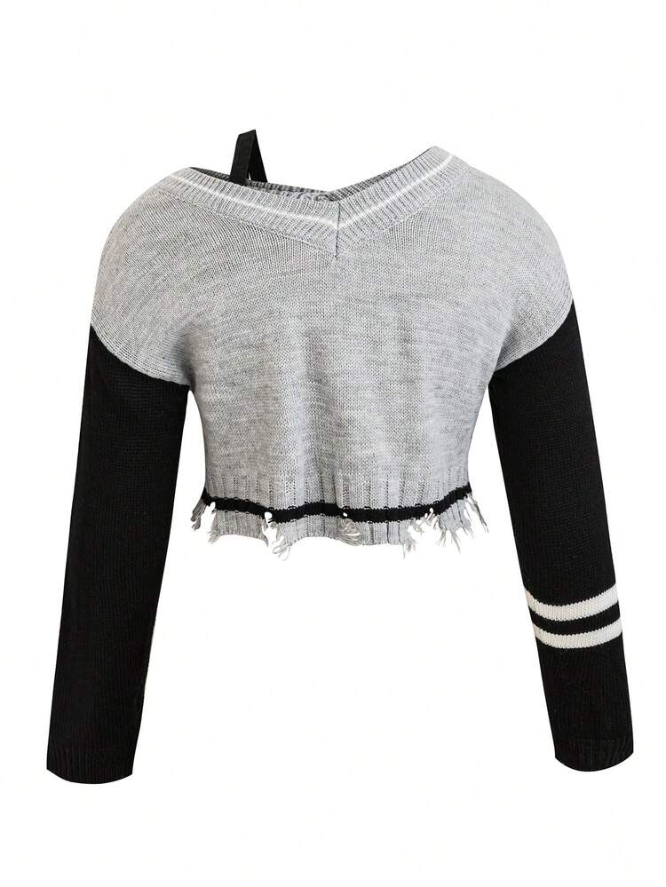Plus Letter Pattern Colorblock Drop Shoulder Distressed Crop Sweater Knit Pullover Fall Winter Sweater