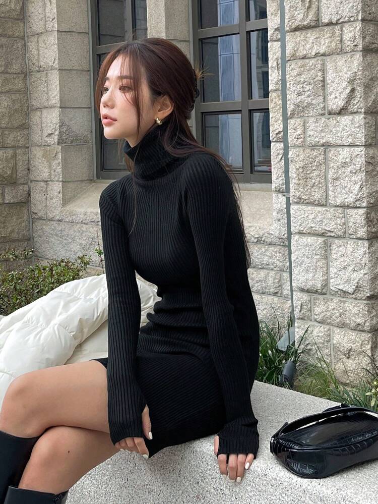 Women's Solid Color Turtleneck Long Sleeve Fitted Casual Knit Dress, Autumn Sweater Dress