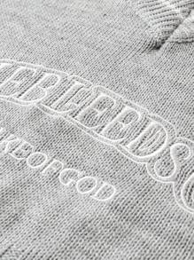 Calvaya Plus Letter Pattern Colorblock Drop Shoulder Distressed Crop Sweater Knit Pullover Fall Winter Sweater - Grey - View 4