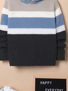 SHEIN Tween Boys Color Block Hooded Sweater,In Fall/Winter