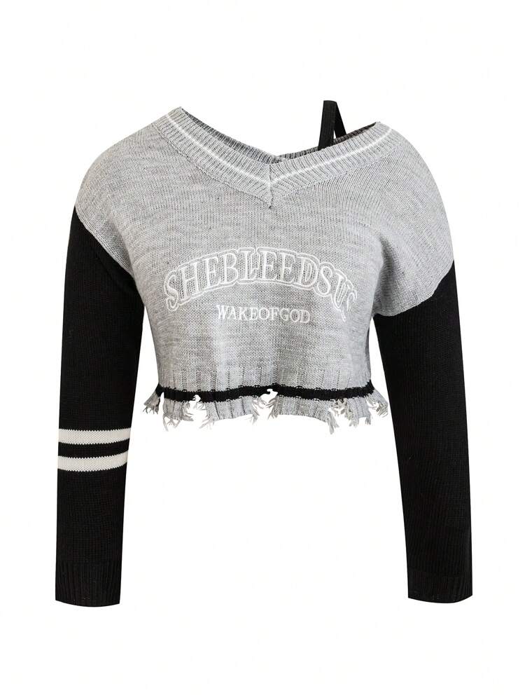 Plus Letter Pattern Colorblock Drop Shoulder Distressed Crop Sweater Knit Pullover Fall Winter Sweater