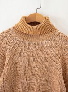 Teen Boys Turtleneck Raglan Sleeve Sweater - Khaki - View 4