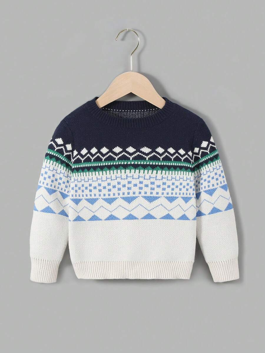 Young Boy Fair Isle Pattern Sweater - Multicolor - View 1