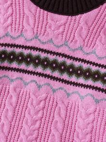 SHEIN Tween Girl Geo Pattern Contrast Trim Cable Knit Sweater - Multicolor - View 5