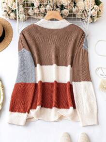 SHEIN LUNE Talla grande Jersey de color combinado de hombros caídos