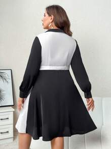 SHEIN Clasi Talla grande Vestido de dos tonos de cuello cruzado de manga farol