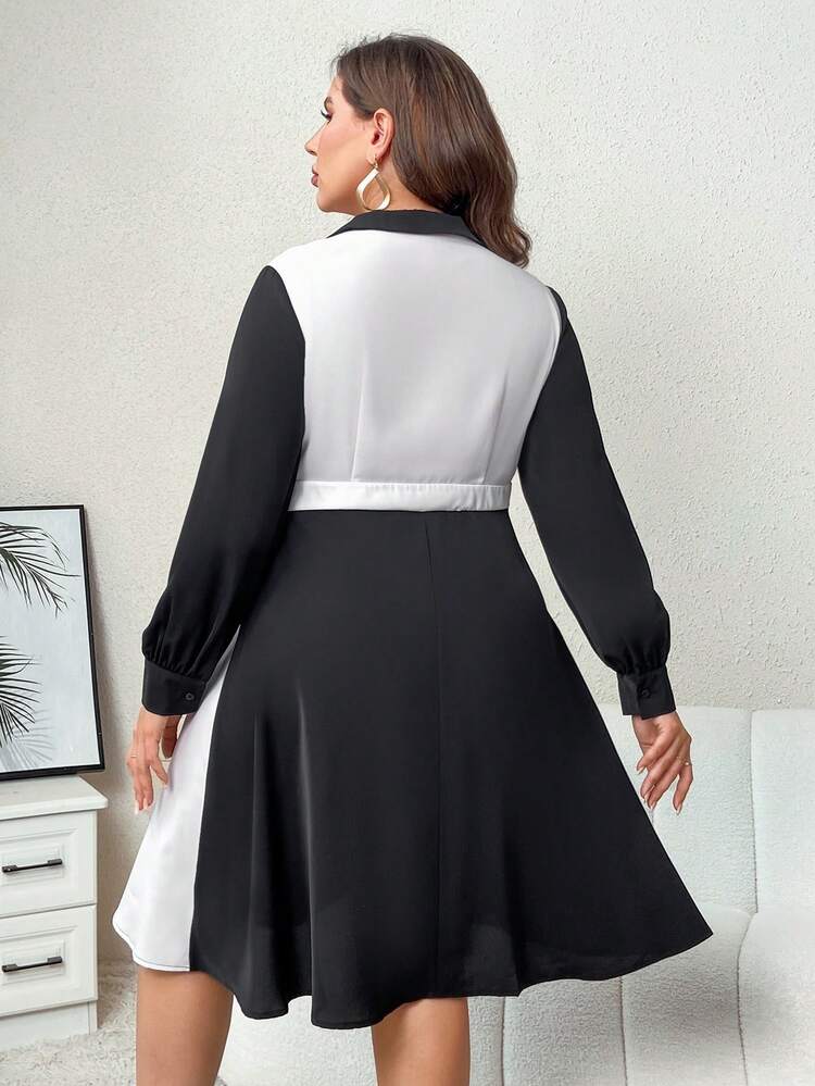 Plus Two Tone Surplice Neck Lantern Sleeve Dress