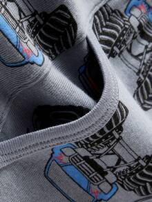 Young Boy 5pcs Cartoon Graphic Boxer Brief - Multicolor - View 5