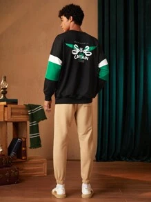 HARRY POTTER X SHEIN Men Color Block Cartoon Graphic Pullover - Multicolor - View 5