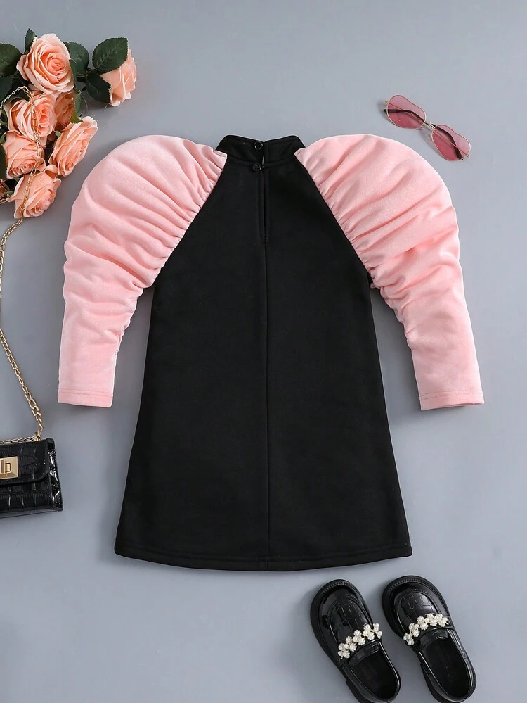 Young Girl Flamingo Embroidery Contrast Raglan Sleeve Dress