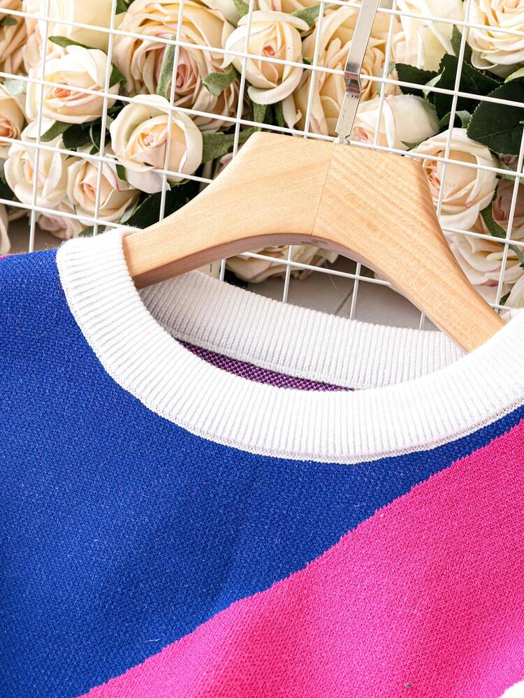 Plus Color Block Drop Shoulder Sweater Knit Pullover Fall Winter Sweater