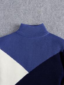 SHEIN 秋冬款小男孩拼色立领毛衣 - 彩色 - 查看 3