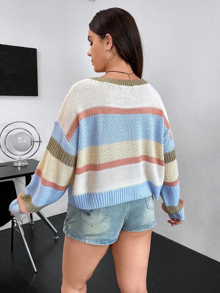 Plus Colorblock Drop Shoulder Sweater Knit Pullover Fall Winter Sweater