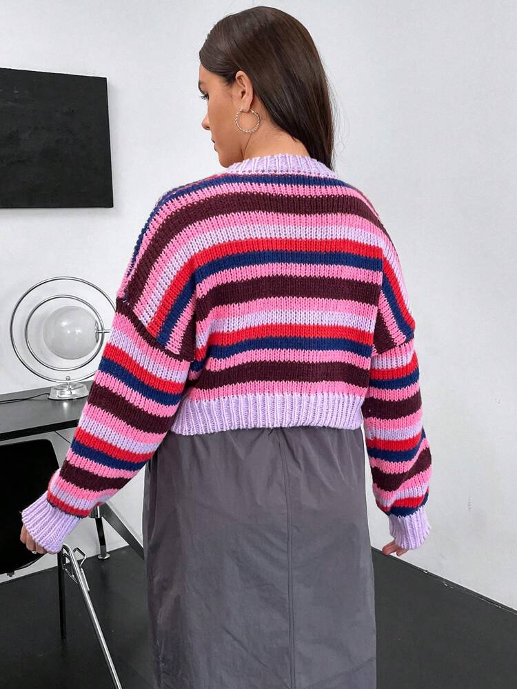 Plus Striped Pattern Drop Shoulder Crop Sweater Knit Pullover Fall Winter Sweater