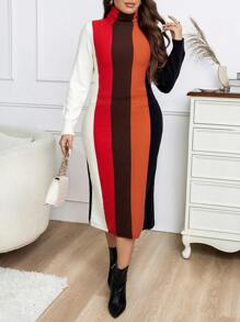 Calvaya 大碼撞色小高領毛衣洋裝 - 彩色 - 查看 1