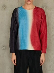 SHEIN Essnce Color Block Raglan Sleeve Sweater - Multicolor - View 4