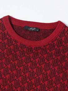 SHEIN Cottnline كنزة صوف نمط شامل للرجال - الأحمر - مشاهدة 3