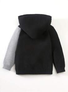 SHEIN garoto jovem Gráfica Letra Bloco De Cores Bolso Canguru Cncapuzado Suéter - Cinza - Ver 2