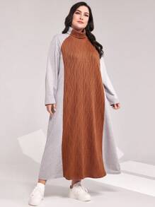 Mulvari Plus Colorblock Raglan Sleeve Dress - Rust Brown - View 1