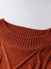 SHEIN Unity Plus Solid Cable Knit Sweater Dress - Brown - View 3