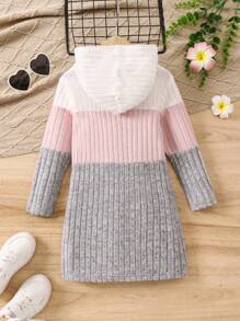 SHEIN Young Girl Color Block Hooded Dress - Multicolor - View 2