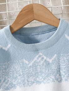 SHEIN Chàng trai trẻ Khối màu Áo len - Nhiều màu - Xem 3