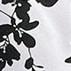 黑與白