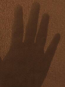 EMERY ROSE Roll Tab Sleeve Asymmetrical Hem Blouse - Brown - View 7