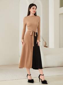 Modelyn 雙色小高領腰帶毛衣洋裝