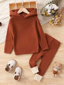 Baby Girl Raglan Sleeve Hooded Sweater & Contrast Panel Knit Pants - Brown - View 1