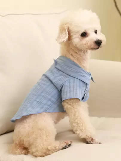  1 pieza Camisa para mascotas Petsin de color azul claro - Ligera y transpirable para primavera, verano y principios de otoño; ideal para uso diario, paseos al aire libre, descanso en interiores, viajes, reuniones festivas, fiestas y sesiones de fotos lindas; proporciona comodidad, estilo y movimiento fácil para su mascota