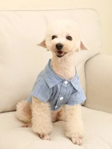 PETSIN PETSIN 1 pieza Camisa de mascota neblina azul