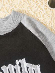 SHEIN Tween Boy Letter Pattern Raglan Sleeve Sweater - Grey - View 6