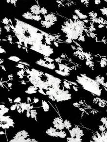 SHEIN Frenchy Floral Print A-line Skirt - Black - View 3