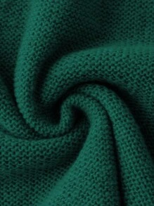 Calvaya Plus Solid Round Neck Sweater Dress - Green - View 4