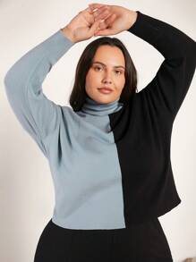 SHEIN BASICS Plus Dwutonowy Golf Opuszczane ramiona Swetry