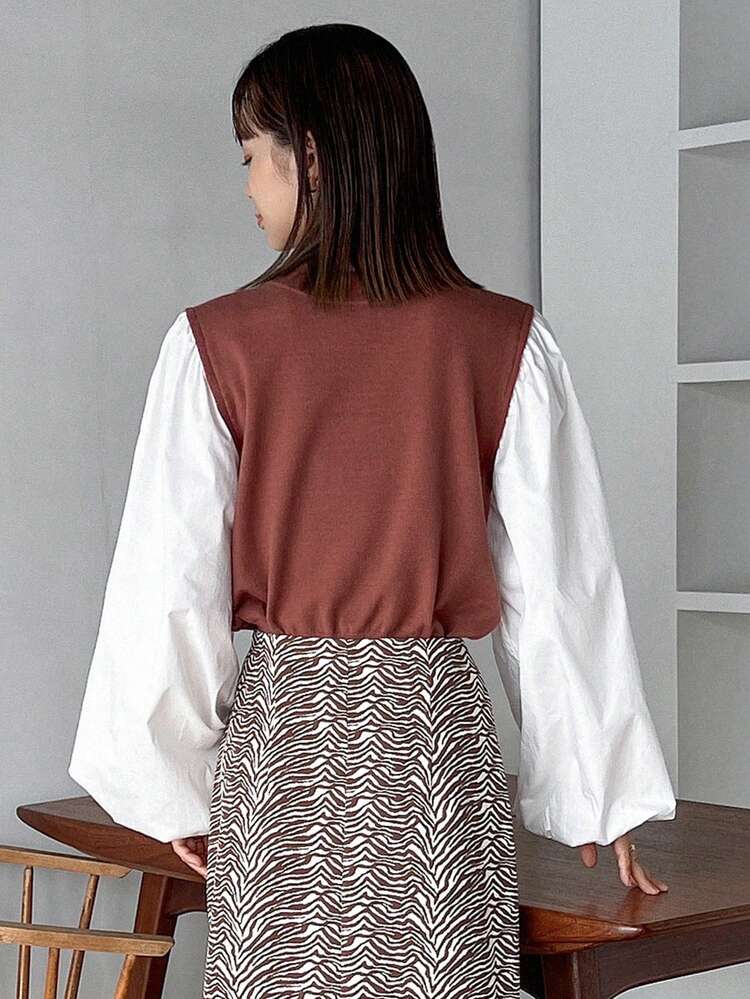 Colorblock Lantern Sleeve 2 In 1 Blouse,Fall Clothes Long Sleeve Top