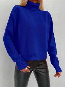 SHEIN Cottnline Solid High Neck Sweater - Blue - View 3
