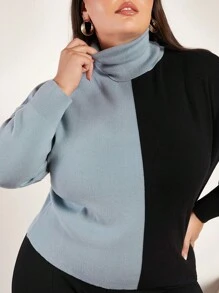 SHEIN BASICS Plus Dwutonowy Golf Opuszczane ramiona Swetry