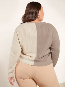 SHEIN BASICS Plus Two Tone Drop Shoulder Sweater - Multicolor - View 3