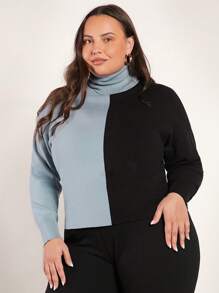 SHEIN BASICS Plus Dwutonowy Golf Opuszczane ramiona Swetry