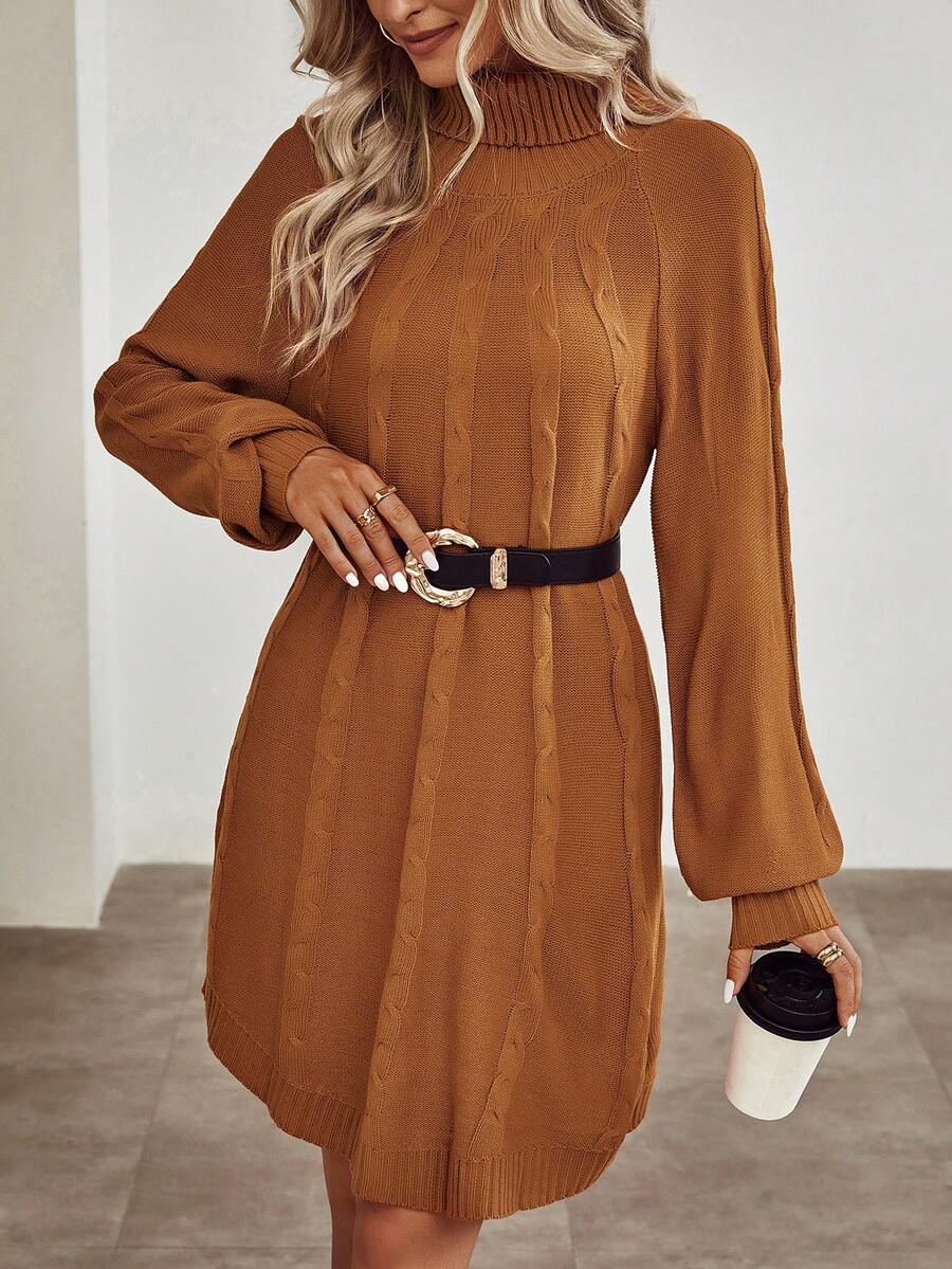 SHEIN Privé Turtleneck Raglan Sleeve Sweater Dress Without Belt - Rust Brown - View 1