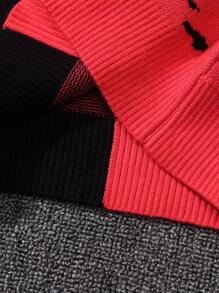 SHEIN Young Boy Two Tone Spider Pattern Sweater - Black - View 6