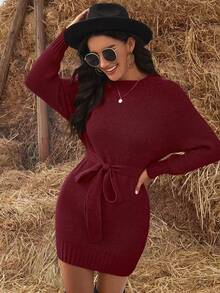 Solid Belted Sweater Dress