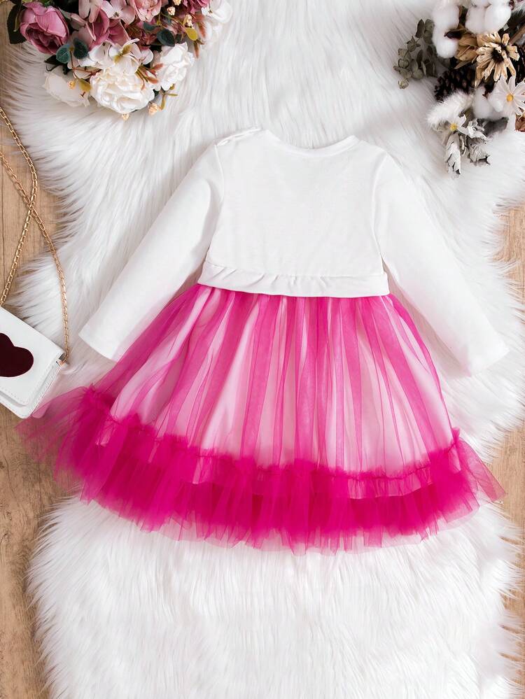 Baby Girl Letter Graphic Mesh Overlay Dress