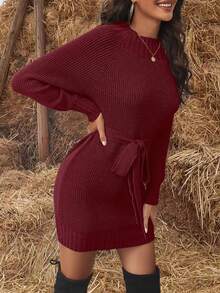 Solid Belted Sweater Dress