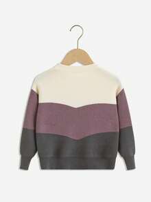 SHEIN Cô Gái Trẻ Khối màu Áo len - Nhiều màu - Xem 2