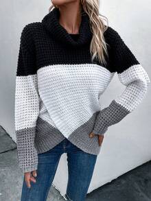 SHEIN LUNE Khối màu Cổ bò Thả vai Viền không đối xứng Áo len - Nhiều màu - Xem 5