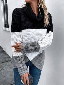 SHEIN LUNE Khối màu Cổ bò Thả vai Viền không đối xứng Áo len - Nhiều màu - Xem 6